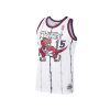 Clothing MITCHELL u0026 NESS | Toronto Raptors Vince Carter #15 Swingman Jersey