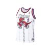 Clothing MITCHELL u0026 NESS | Toronto Raptors Tracy Mcgrady #1 Swingman Jersey